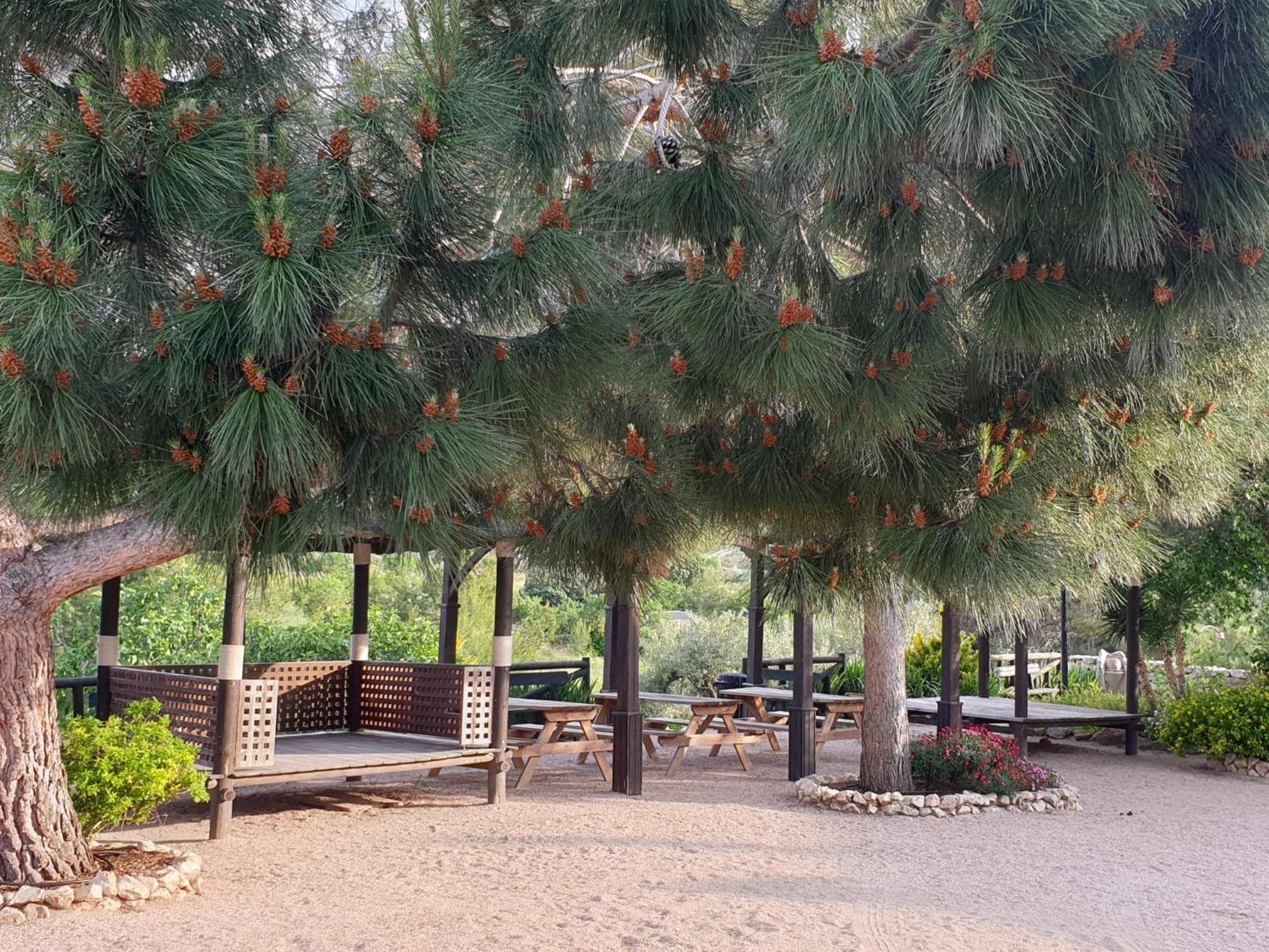Complejo Rural Las Lomas De ビア エクステリア 写真