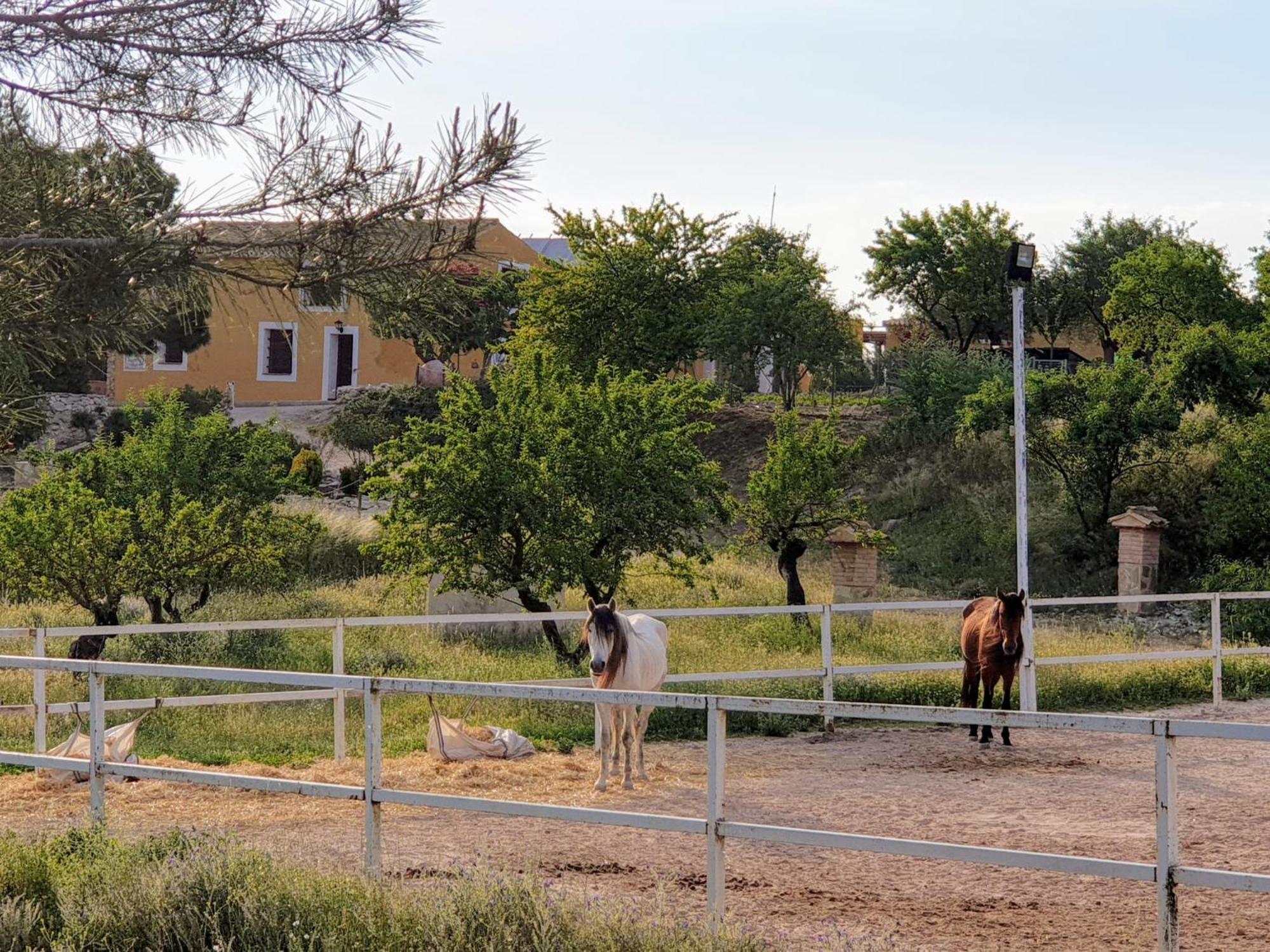 Complejo Rural Las Lomas De ビア エクステリア 写真