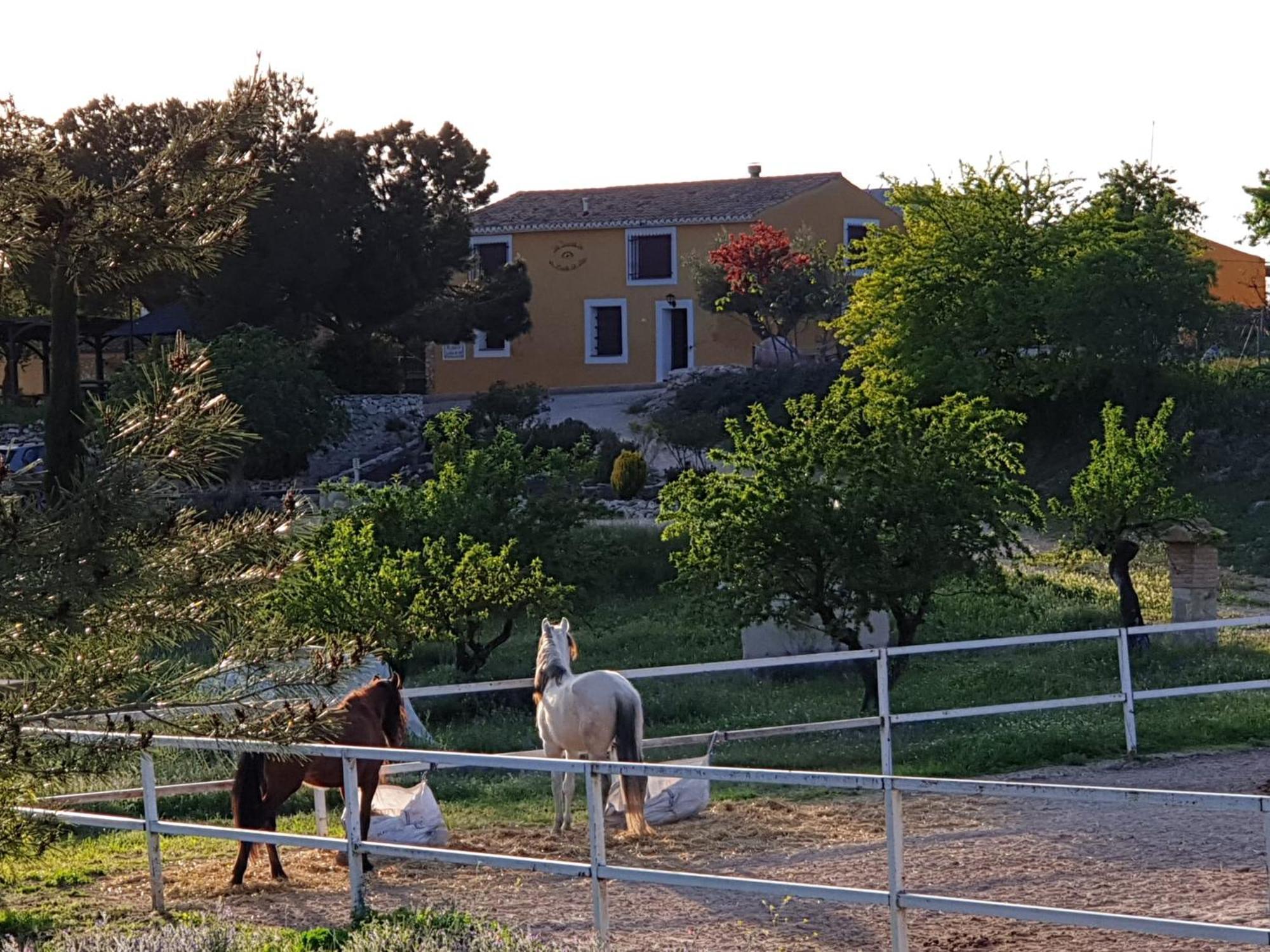 Complejo Rural Las Lomas De ビア エクステリア 写真